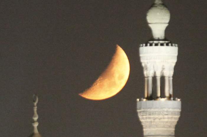 5ce654cf95a5972f228b4652