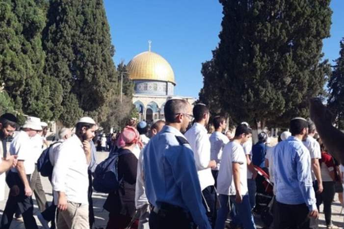 1f3b50e34702cdffc05ae180e6be958e4417b5de