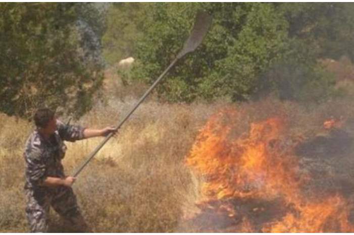 main_image5ce812e14fbc5