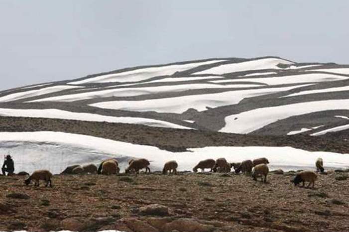 Doc-P-591013-636943864170233895