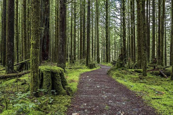 4ETF3GZR3NA3RDDW23XDRBKKCI