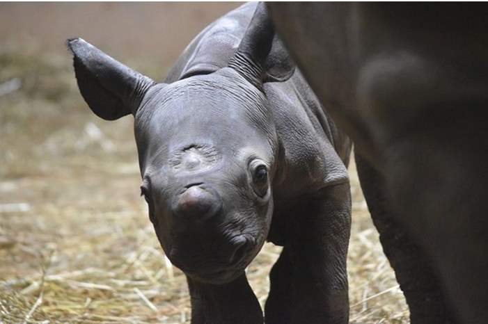 5ce7e6e195a597a86d8b45f5