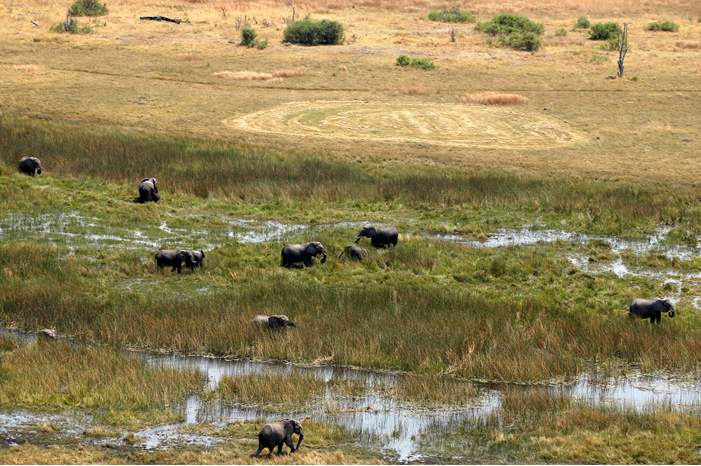 1da21fbb-1f09-4faf-a5cd-50cf84631b1c