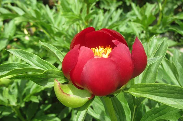 20190525_2_36616772_44790760_web-840x540