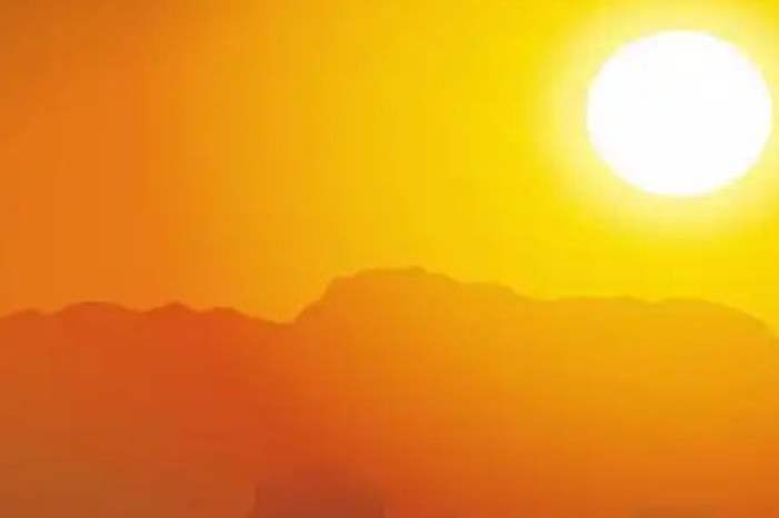 60258578_994052024134019_5269176667414200320_n