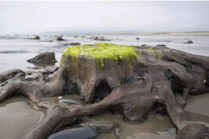 5cec0868d437506f2c8b45e8