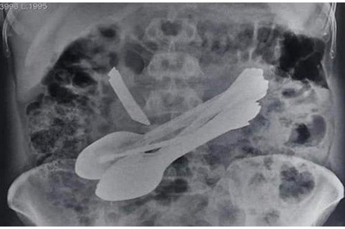 eb4a88ae-dad6-4f59-9b31-a19b4ae3cd8e