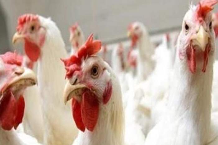 900x450_uploads,2019,05,10,93802e0e9b