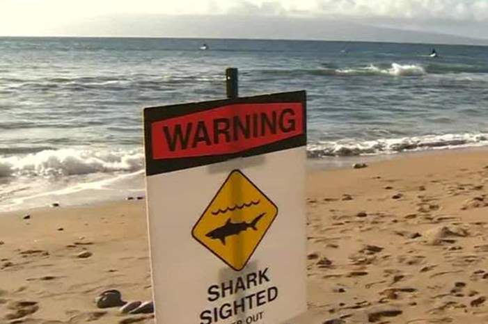 Doc-P-591878-636946360222811217