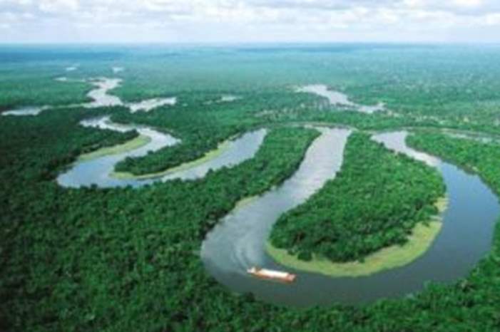 20190522122301231 (1)