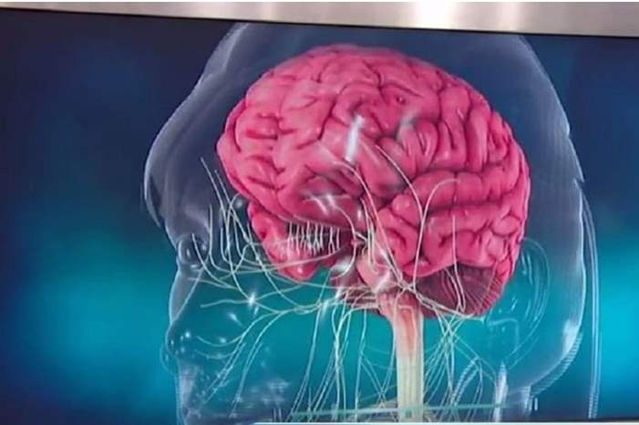 5cee499e95a5975e5c8b4647