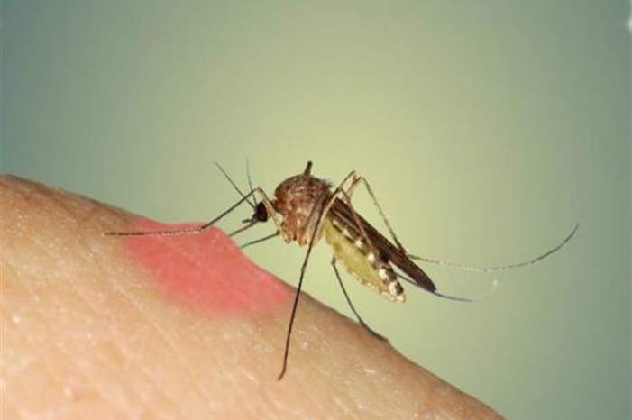 2017_9_12_12_34_35_705