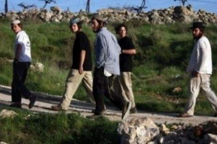 08148217732323792132388373387130