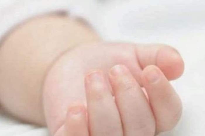 Doc-P-583202-636924298769049214