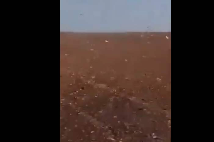 59729539_445662219574008_8611435833938935808_n