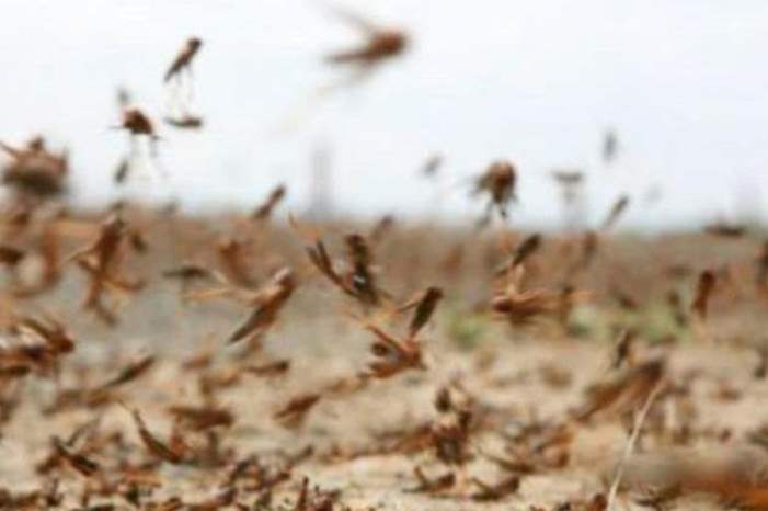 Doc-P-583401-636924840012847003