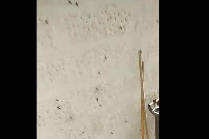 52019614144928823741