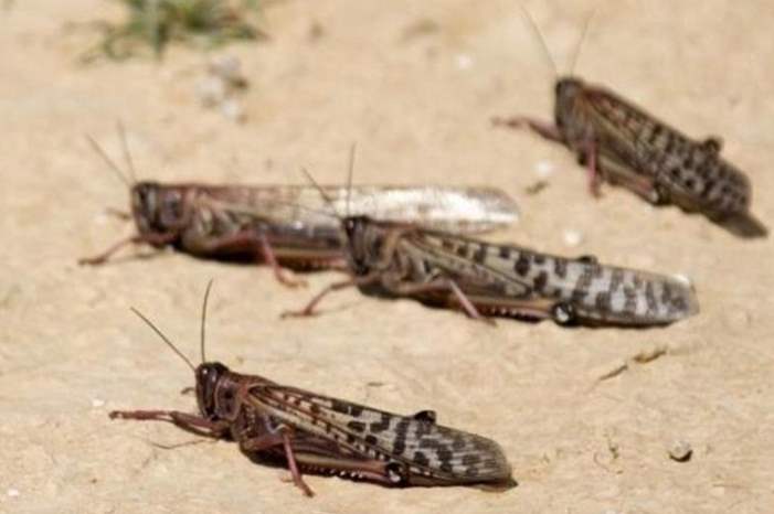 db54abd2-1264-4735-a2d9-610edf291347