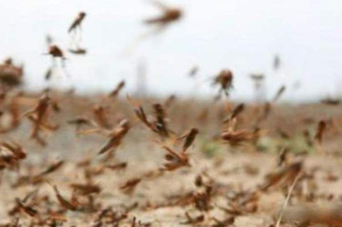 Doc-P-583401-636924840012847003