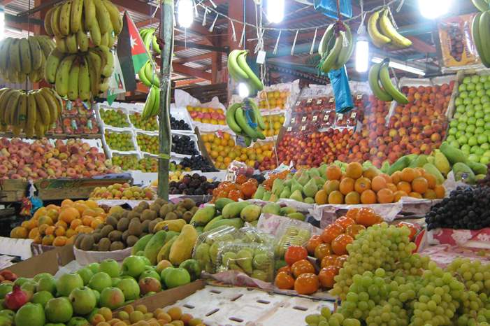 119244f4353267a8a820bb661ee220e0