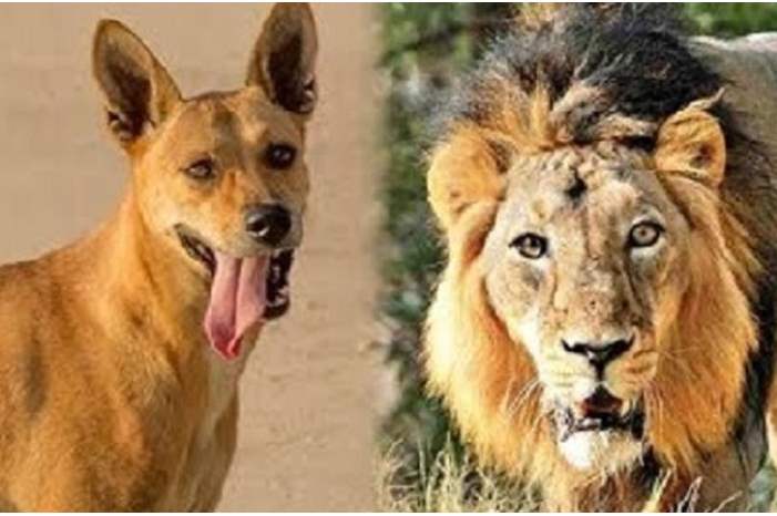 a47916bd-5a3d-405d-b083-8416be670547_16x9_1200x676