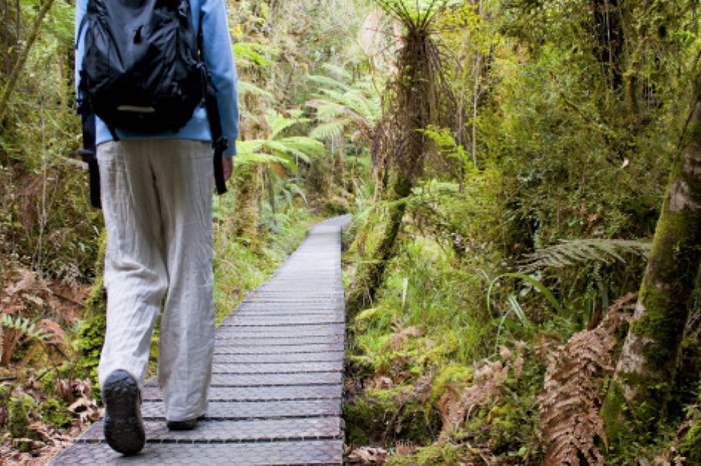 http___i.huffpost.com_gen_4402646_images_n-WOMAN-WALK-IN-FOREST-628x314