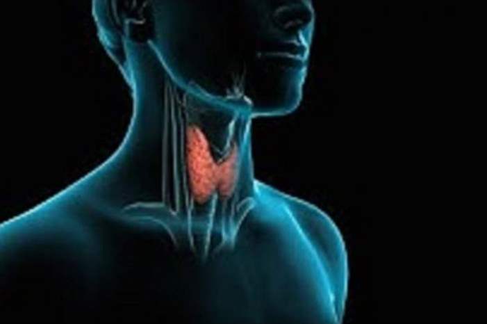 5ccff8eb95a597ad088b4597-jpg-53013121275056478