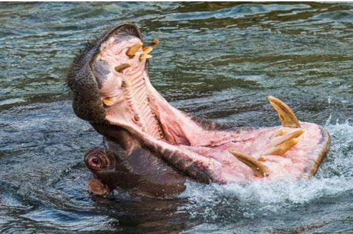 5cd16de695a597db788b45ea (1)