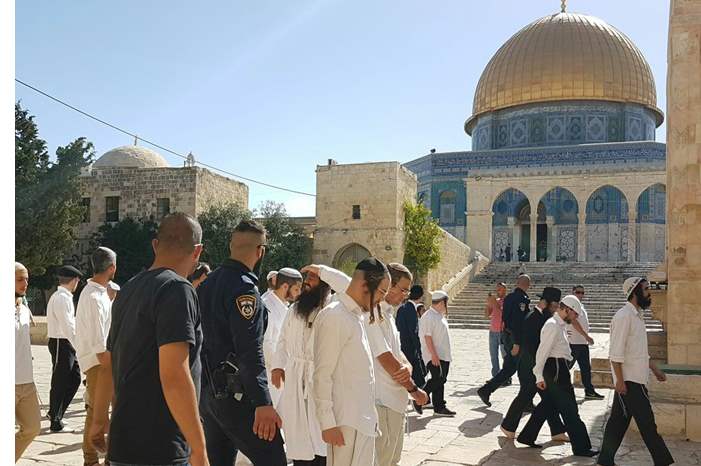 ffcb475681bffd0a280681d38c87bc4f