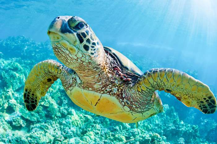 tour_img-1272843-148