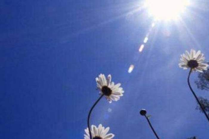 03096712385010133337870615386075