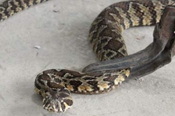 00061601213208617018263233171602