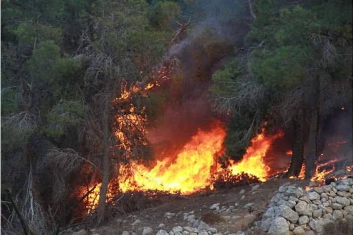 pvdr-jpg-63018658654692423