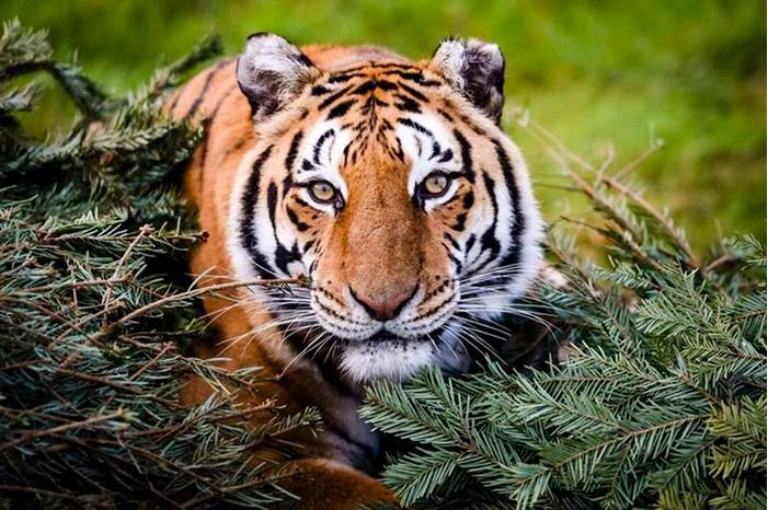 JQ5UDJZ7AVG3HEH62Z5V36324I