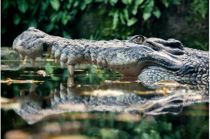 55df4775dd08959a6d8b4582-750-502