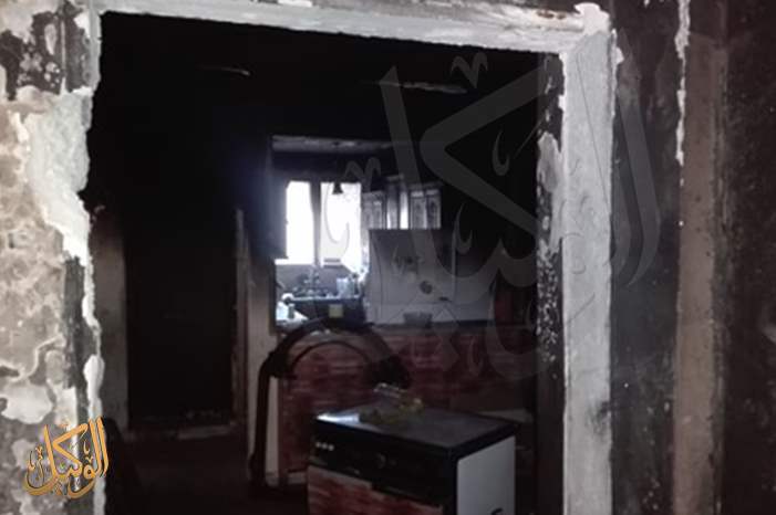 61587959_401333237388358_2380799646046879744_n