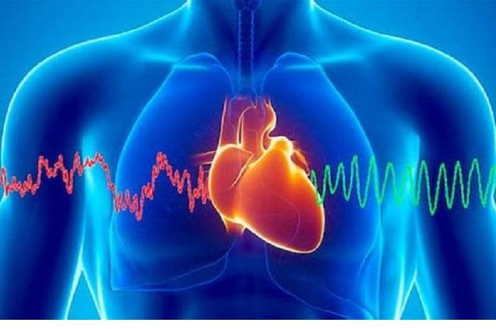 4b8037d408c11c3a92a50afcfc07f45f_M-1500x9999-c