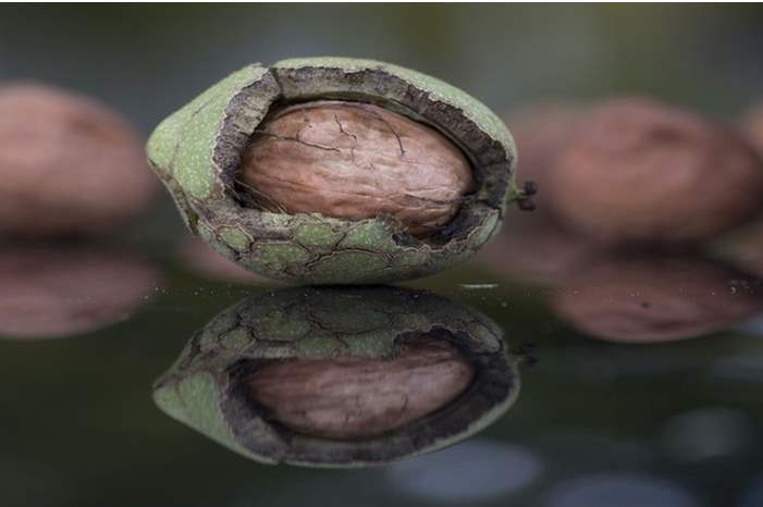 5cf4eb2295a5975d488b45a9