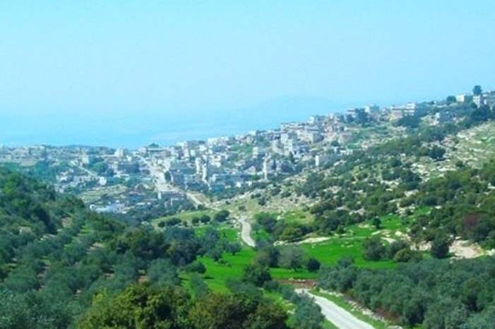 62019416045942082940