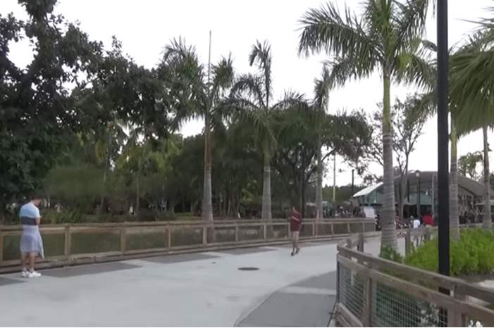 5cf67fbd95a597cb488b460d