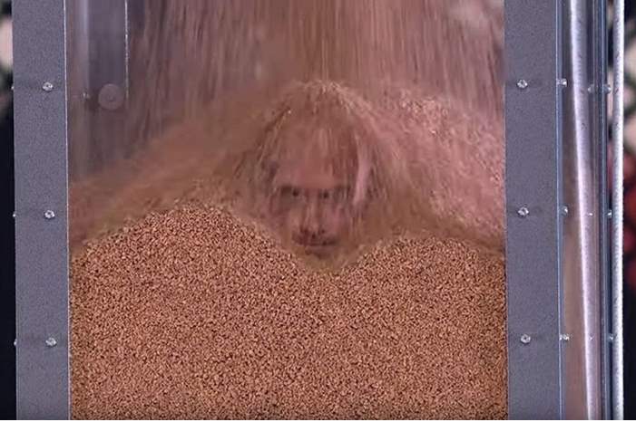 5cf6607fd43750a5658b45c7