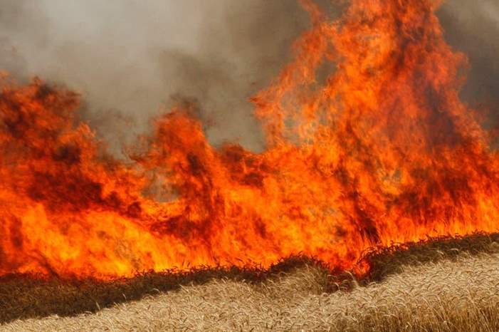 main_image5cfcc0828eab7