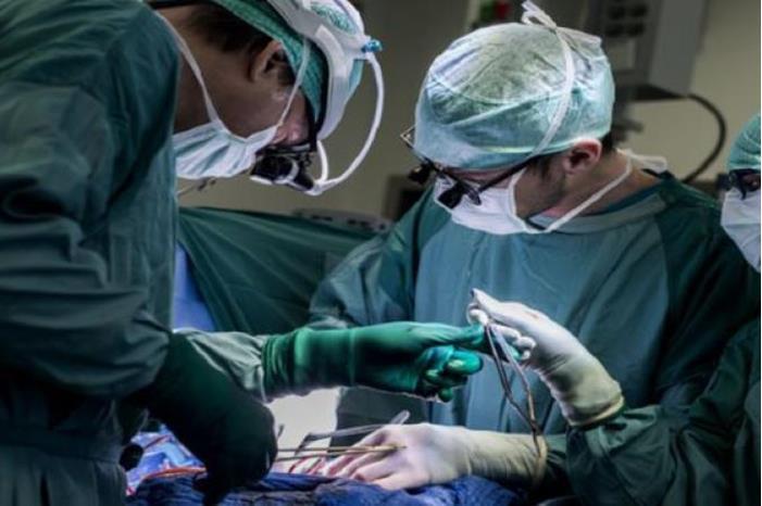 الأطباء ينقذون رجلا علق 'أخطبوط' في حلقه بسنغافورة - الوكيل الاخباري