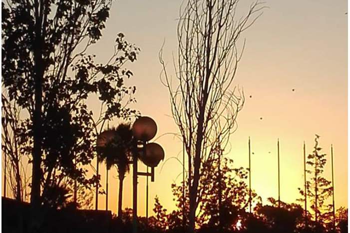 3adcccc16798d657c1023eec4cbe7d02