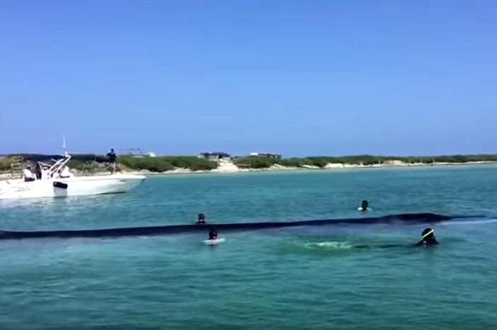 5b699f83d43750057b8b45a3