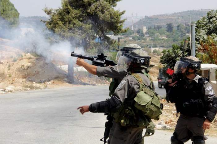 715811252192f03b53bc4336b8f75026