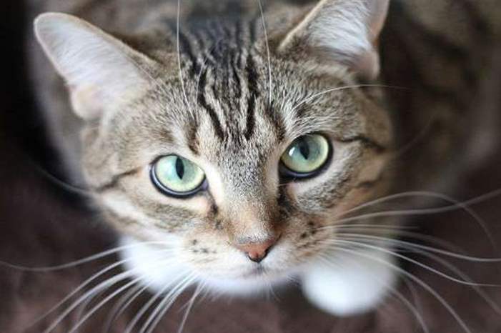 5ba0ef9295a597c2678b463b