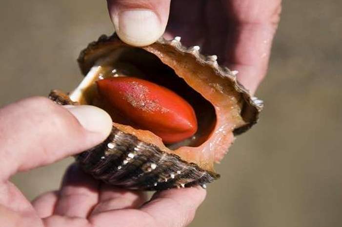 5ba0fa8c95a597b5128b4569