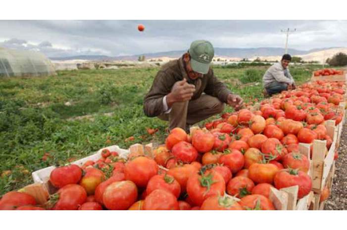 JzQAflK2fHyhsyODUir7tk9tDtWFwVazeMLIIwvP