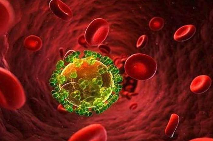 5ba8ab2995a59760478b45c6